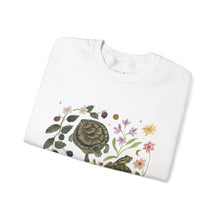 Load image into Gallery viewer, Turtles