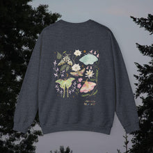 Load image into Gallery viewer, Moths