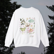 Load image into Gallery viewer, Moths