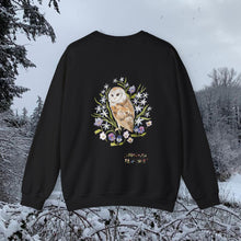 Load image into Gallery viewer, Barn Owl sweater
