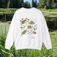 Load image into Gallery viewer, Frogs