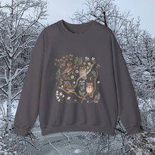 Load image into Gallery viewer, Owls