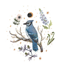 Load image into Gallery viewer, Blue Jay Sweater