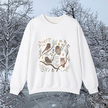 Load image into Gallery viewer, Owls