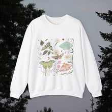 Load image into Gallery viewer, Moths