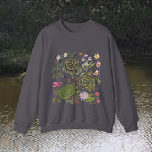 Load image into Gallery viewer, Turtles