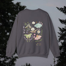 Load image into Gallery viewer, Moths