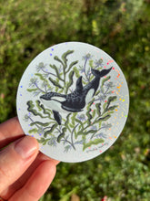Load image into Gallery viewer, Orca Sticker