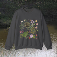 Load image into Gallery viewer, Turtles