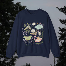 Load image into Gallery viewer, Moths