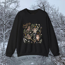 Load image into Gallery viewer, Owls