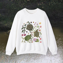 Load image into Gallery viewer, Turtles