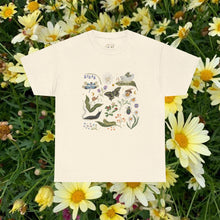Load image into Gallery viewer, Insect Garden