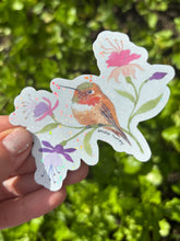 Load image into Gallery viewer, Rufous & Fuchsia Sticker