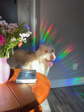 Load image into Gallery viewer, Hummingbird Garden Suncatcher