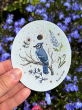 Load image into Gallery viewer, Blue Jay Sticker