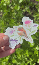 Load and play video in Gallery viewer, Rufous & Fuchsia Sticker