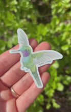 Load and play video in Gallery viewer, Purple Throated Sunangel Hummingbird Sticker