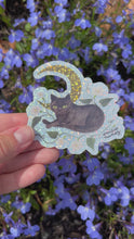 Load and play video in Gallery viewer, Black Cat Sticker