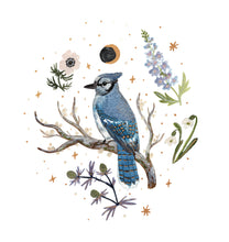 Load image into Gallery viewer, Blue Jay Sweater
