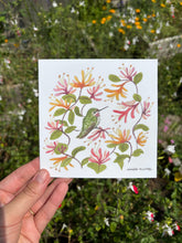 Load image into Gallery viewer, Anna’s hummingbird &amp; honeysuckle Postcard-Wholesale
