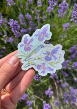 Load image into Gallery viewer, Violet Crowned Hummingbird Sticker
