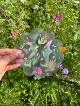 Load image into Gallery viewer, Violet Green Swallows Suncatcher
