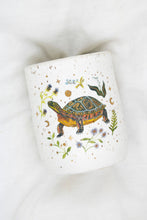 Load image into Gallery viewer, 14 Painted Turtle
