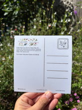 Load image into Gallery viewer, Violet-Green Swallow Postcard-Wholesale
