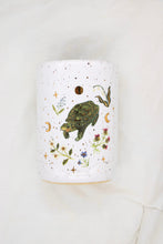 Load image into Gallery viewer, Diamondback Terrapin Turtle
