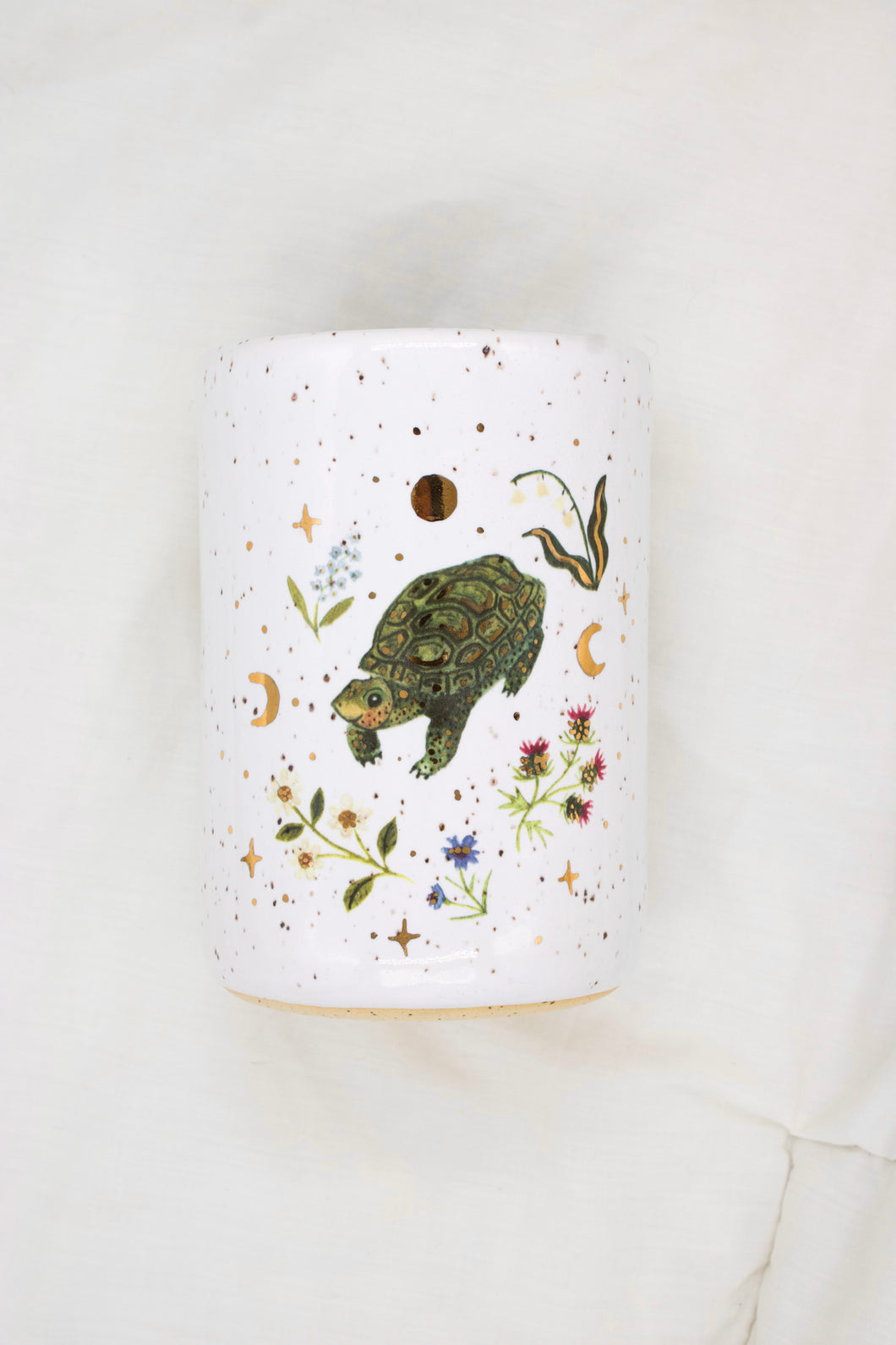 Diamondback Terrapin Turtle