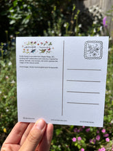 Load image into Gallery viewer, Anna’s hummingbird &amp; honeysuckle Postcard
