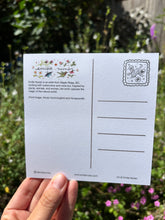 Load image into Gallery viewer, Anna’s hummingbird &amp; honeysuckle Postcard-Wholesale
