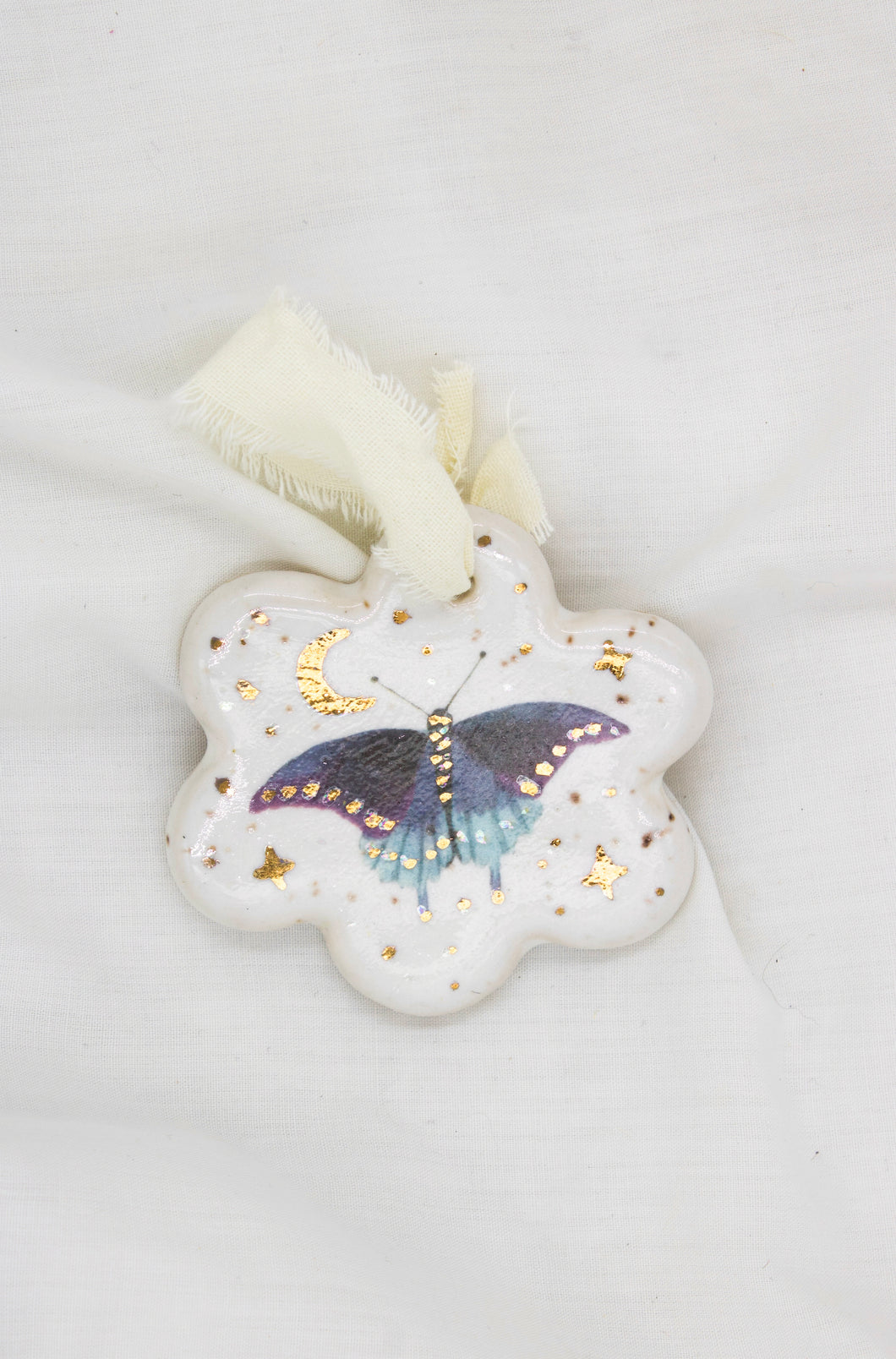 Pipevine swallowtail butterfly