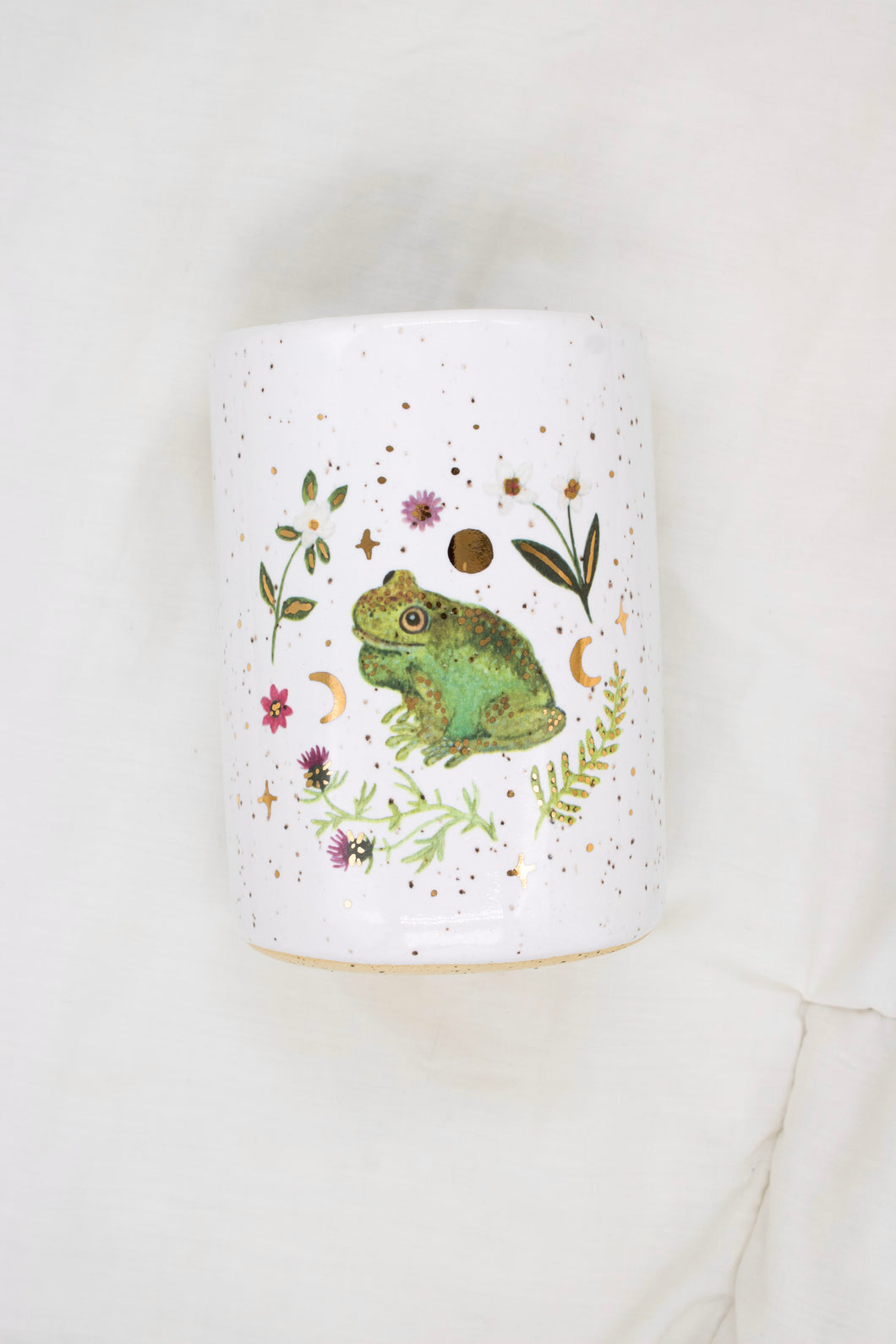 Guinle Tree Frog