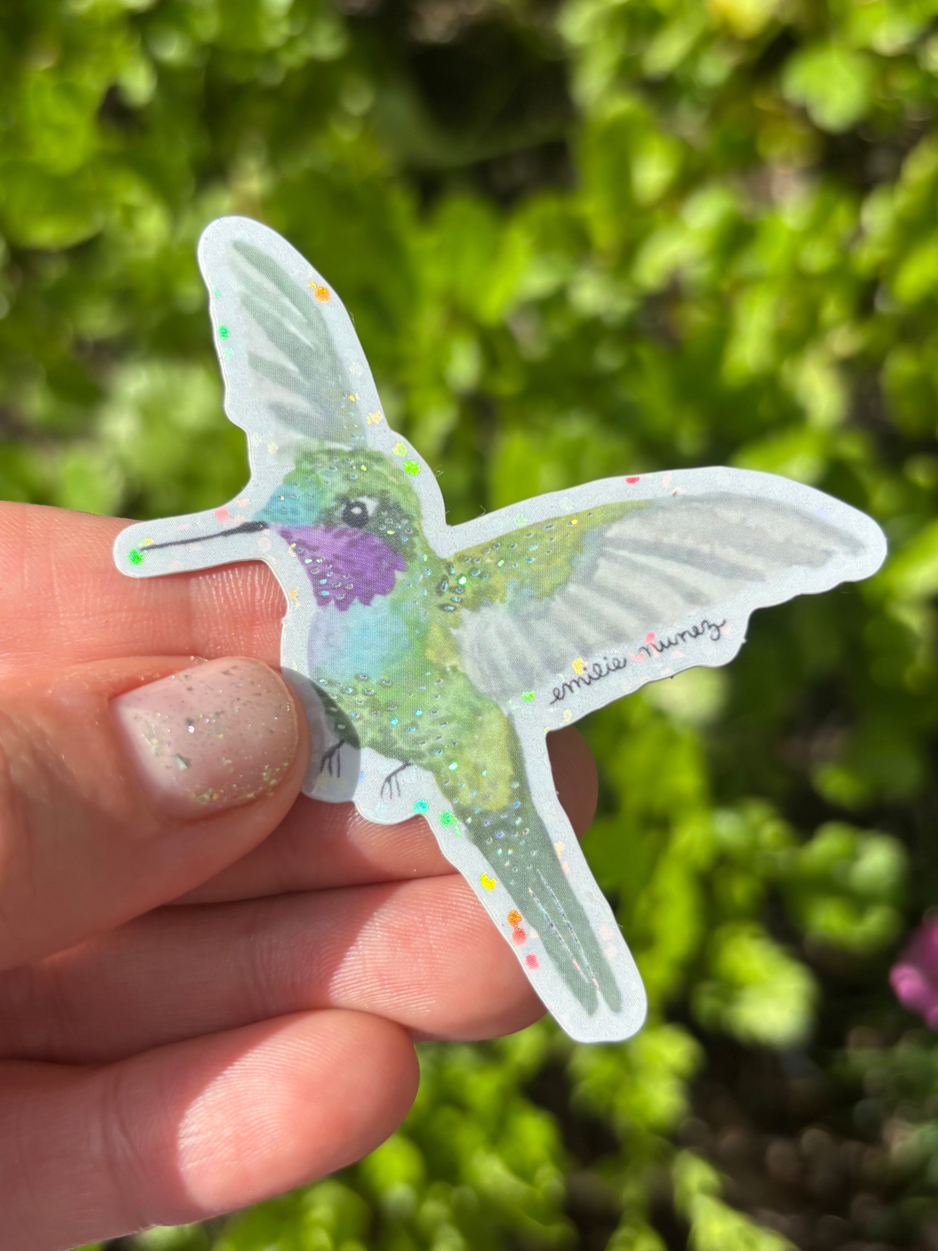 Purple Throated Sunangel Hummingbird Sticker – Emilie Nunez Art