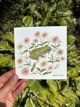 Load image into Gallery viewer, Bird-voiced tree frog &amp; daisies Postcard-Wholesale
