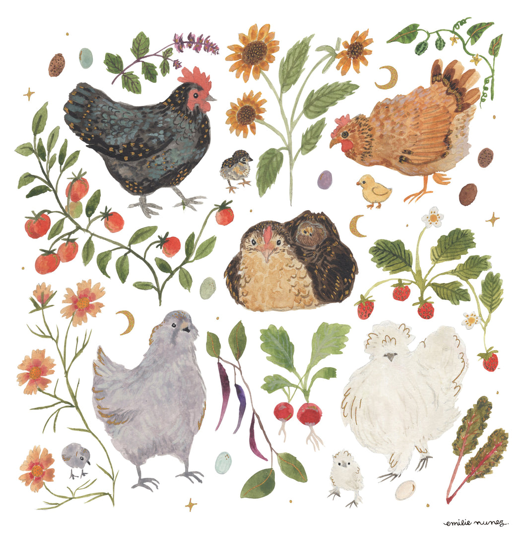 Chickens Art Print - Wholesale