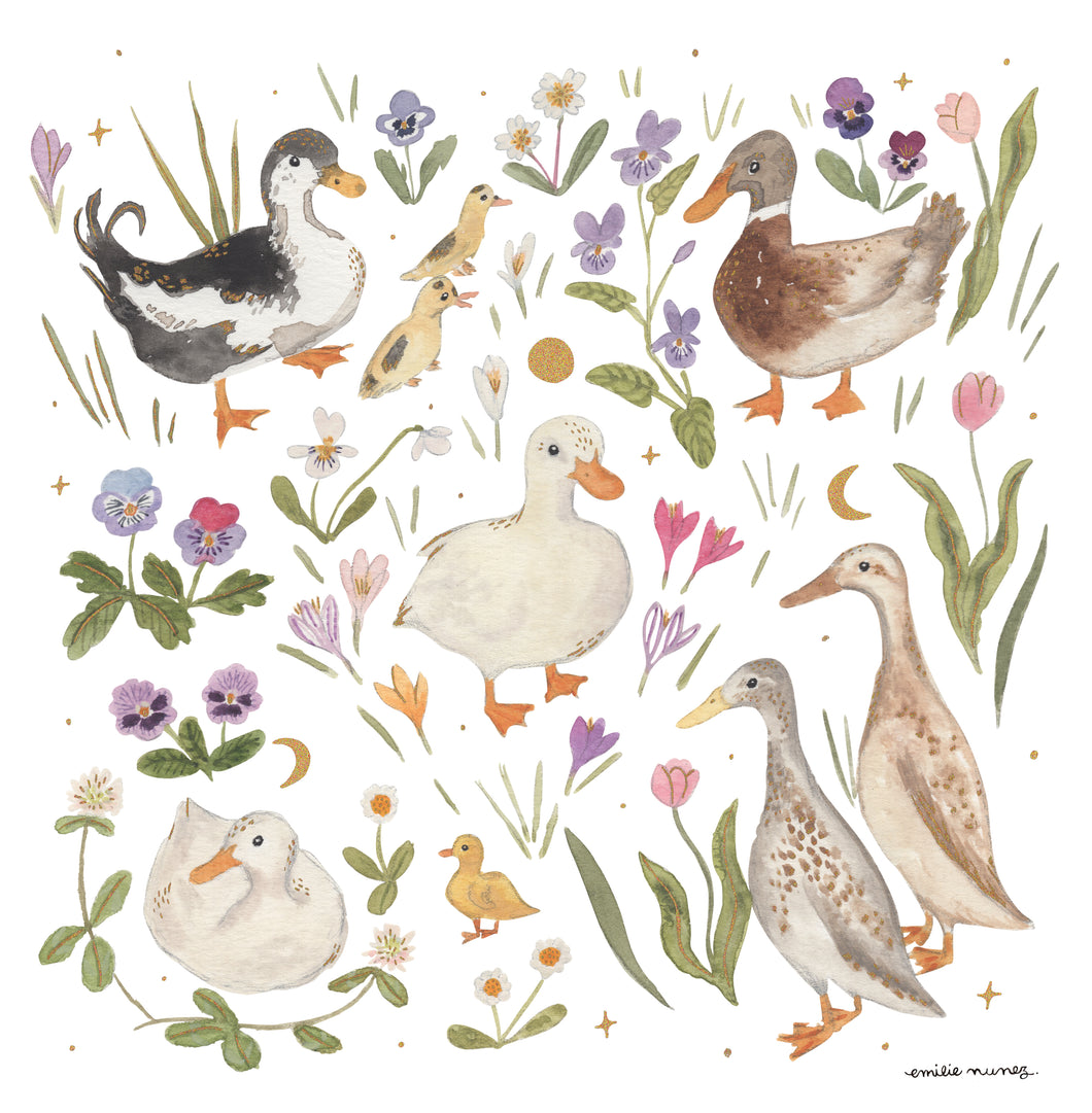 Ducks Art Print