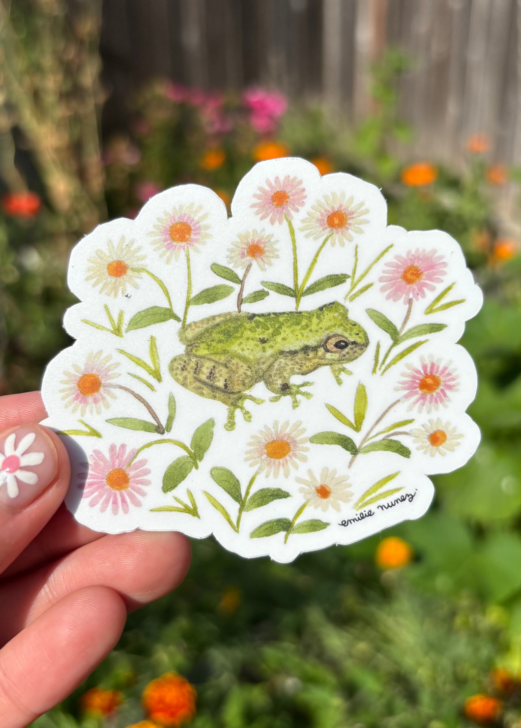 Bird-voiced Tree Frog Sticker
