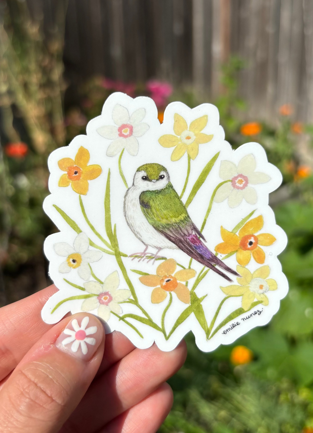 Violet-green Swallow Sticker