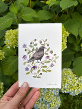 Load image into Gallery viewer, Crow Postcard-Wholesale
