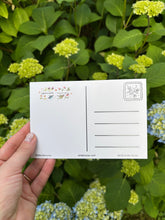 Load image into Gallery viewer, Orca Postcard-Wholesale
