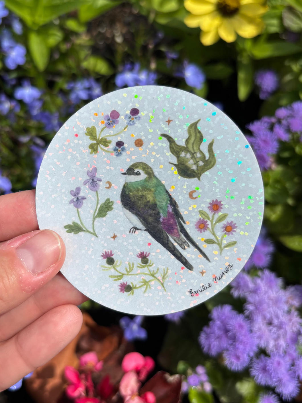 Violet Green Swallow Sticker