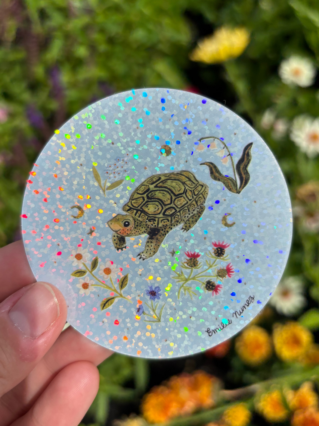 Turtle Sticker - Wholesale