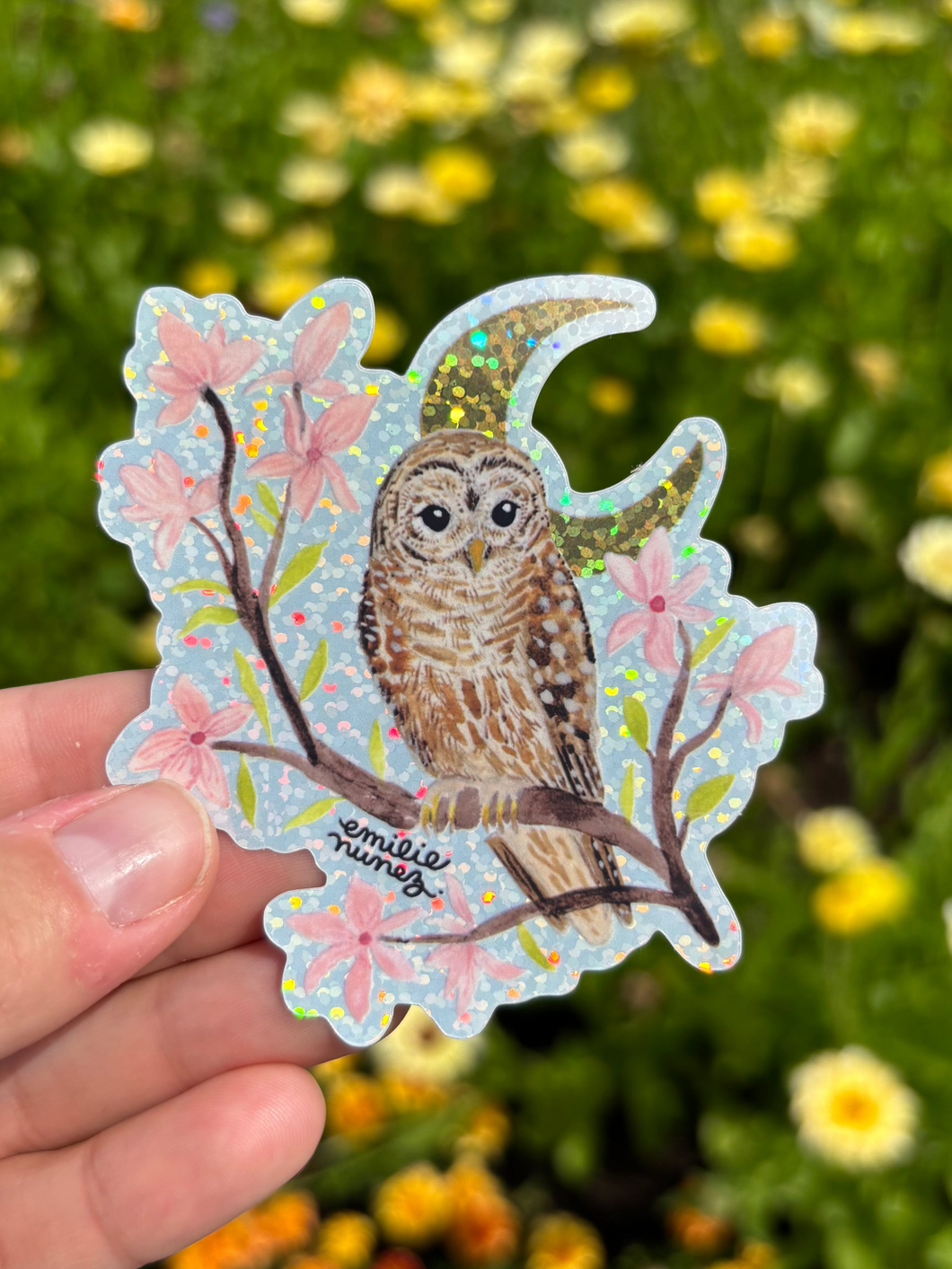 Barred Owl Sticker - Wholesale