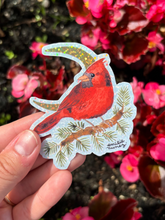 Load image into Gallery viewer, Cardinal Sticker - Wholesale
