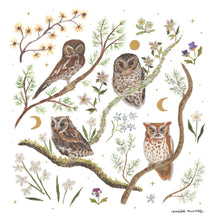 Load image into Gallery viewer, Owls Art Print
