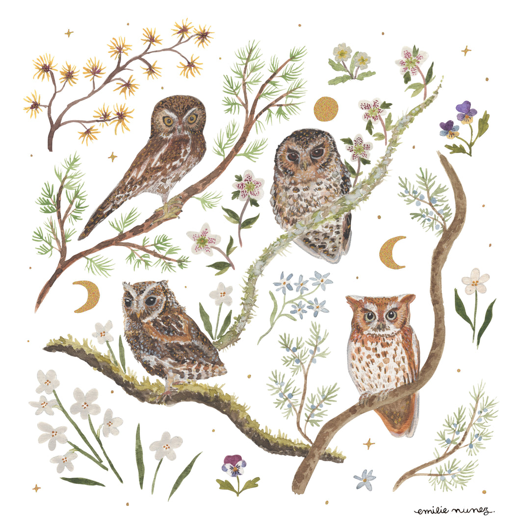 Owls Art Print