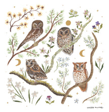 Load image into Gallery viewer, Owls Art Print - Wholesale
